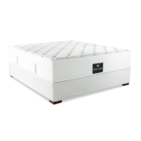 DREAM HAVEN EURO TOP MATTRESS